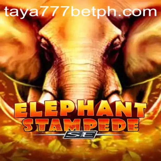 An In-Depth Look at ElephantStampedeSE with What You Need to Know about the Taya777 Bet