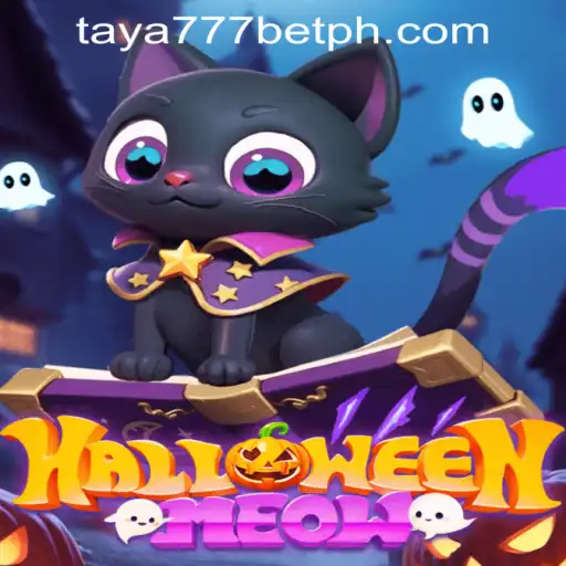 Discover the Thrill of HalloweenMeow