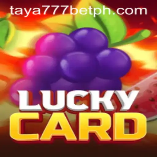 Exploring LuckyCard and the New Trends: Taya777 Bet